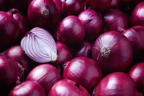تصویر 2 از قیمت پیاز قرمز تبریزی + خرید باور نکردنی